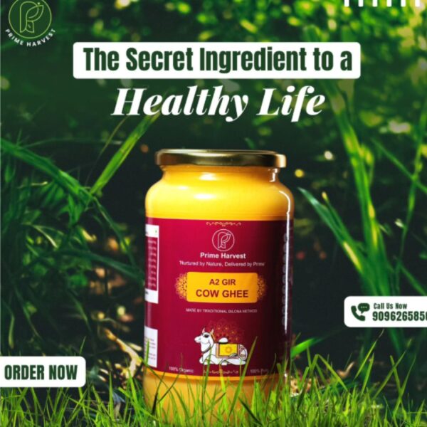 1L A2 Gir Cow Ghee – Traditional Bilona Method - Image 4